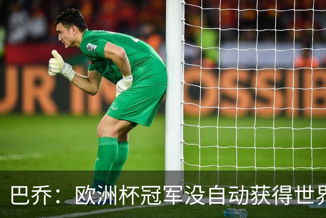 巴乔：欧洲杯冠军没自动获得世界杯资格 这是耻辱